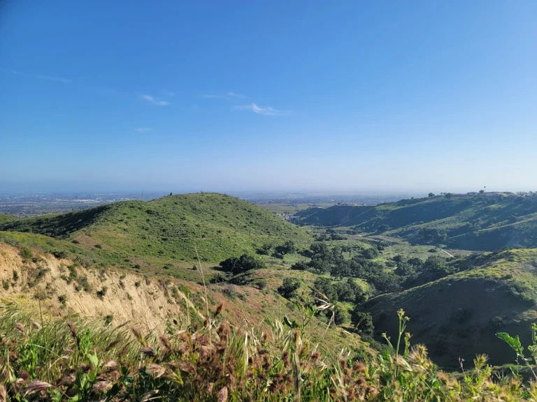 Harmon Canyon Preserve, Ventura