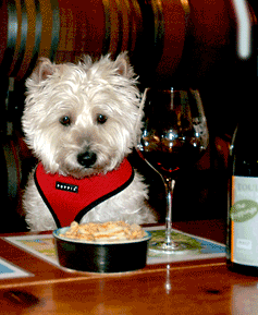 Dog with a wine glass
