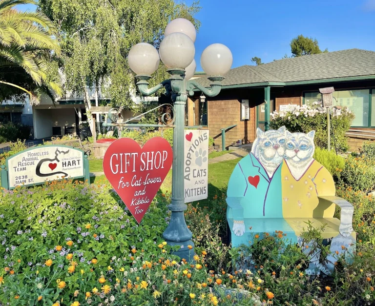 HART, a dog-friendly animal rescue in Cambria, California