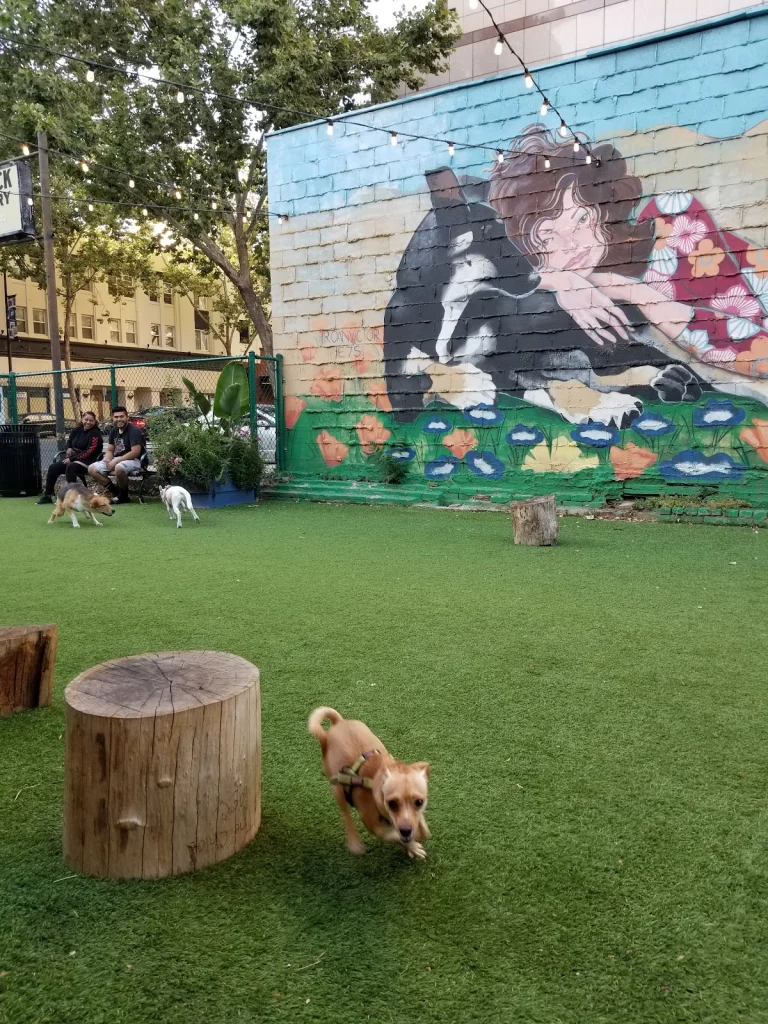 Hart’s Dog Park