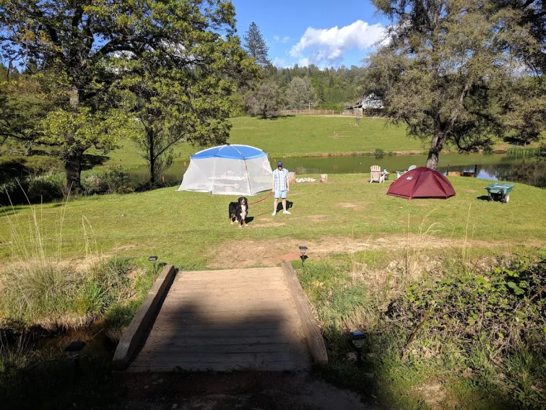 Hartsong Ranch, a dog-friendly animal rescue in Greenwood, California