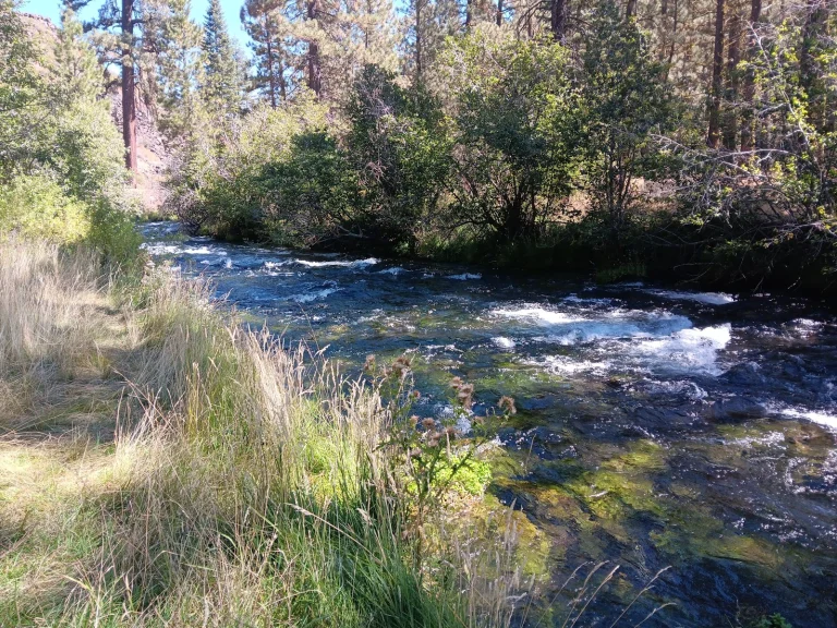 Hat Creek Resort & RV Park Google Places photo