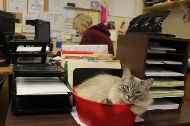 Haven Humane Society Google Places photo