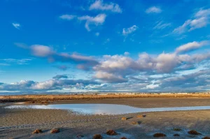 Hayward Regional Park Google Places photo