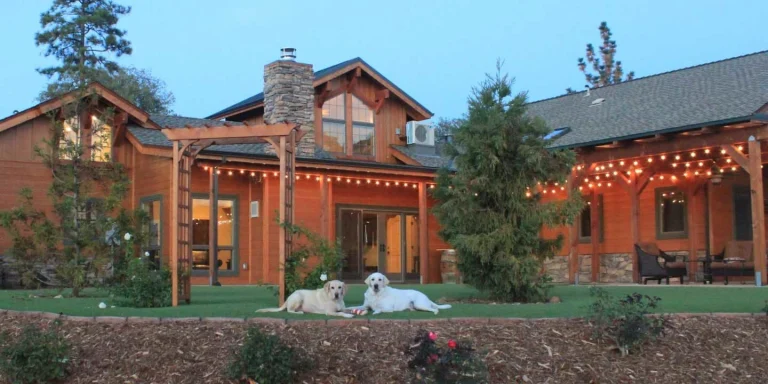 Dog & Pony Ranch