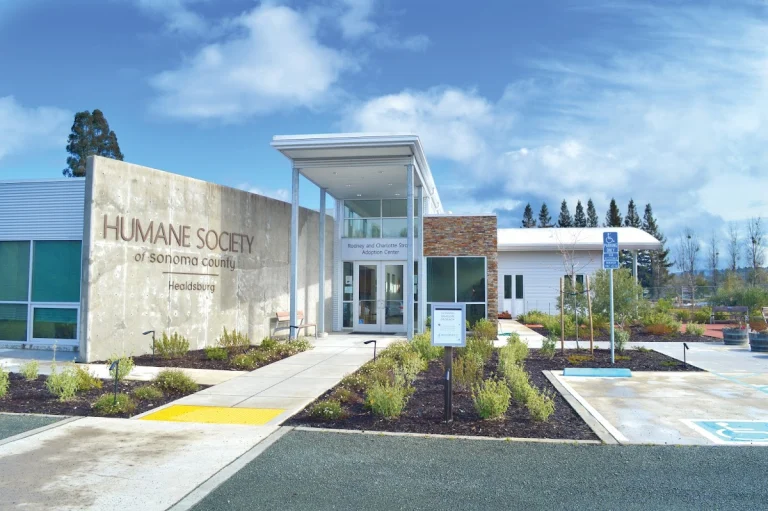 Healdsburg Center, a dog-friendly animal rescue in Healdsburg, California