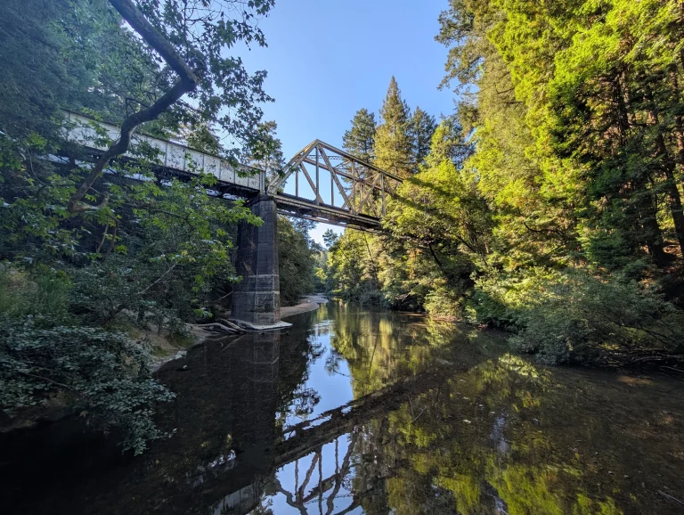 Henry Cowell Redwoods Google Places photo