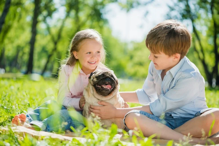 Heritage Veterinary Hospital, a dog-friendly veterinary clinic in Santa Rosa, California