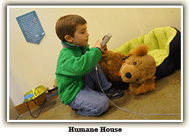 boy with stuffed dog