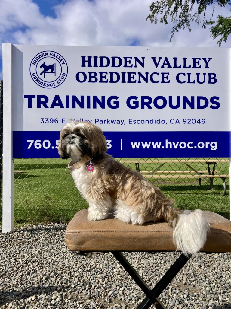 Hidden Valley Obedience Club, Escondido