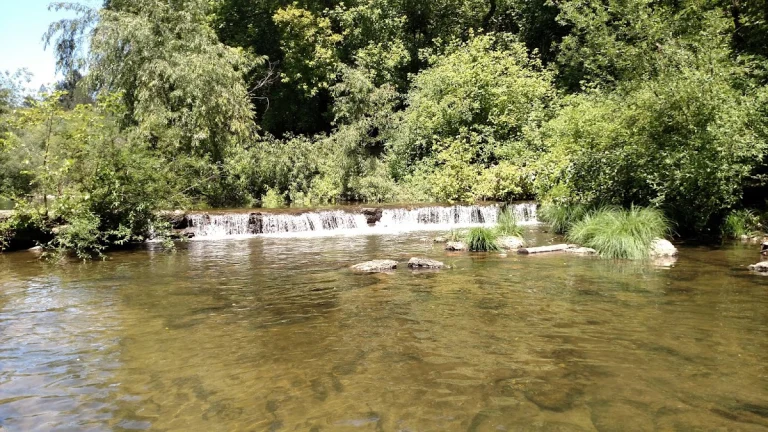 Highlands County Park, a dog-friendly park in Ben Lomond, California