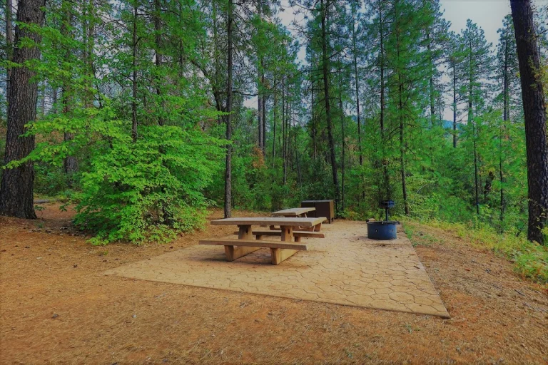 Hirz Bay Campground, Lakehead