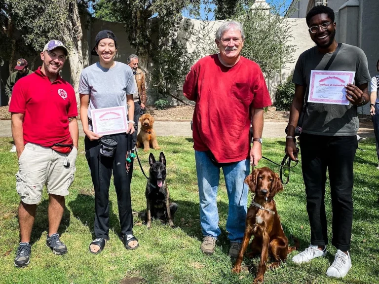 Hollywood Dog Obedience Club, Glendale