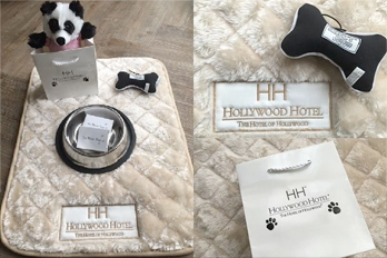 Pamper Your Pets at Hollywood Hotel