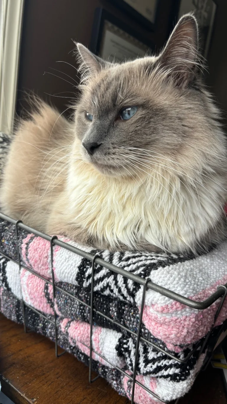 Home Pet Doctor