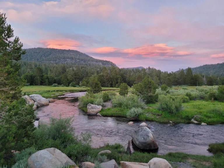 Hope Valley Outdoors, a dog-friendly park in Markleeville, California