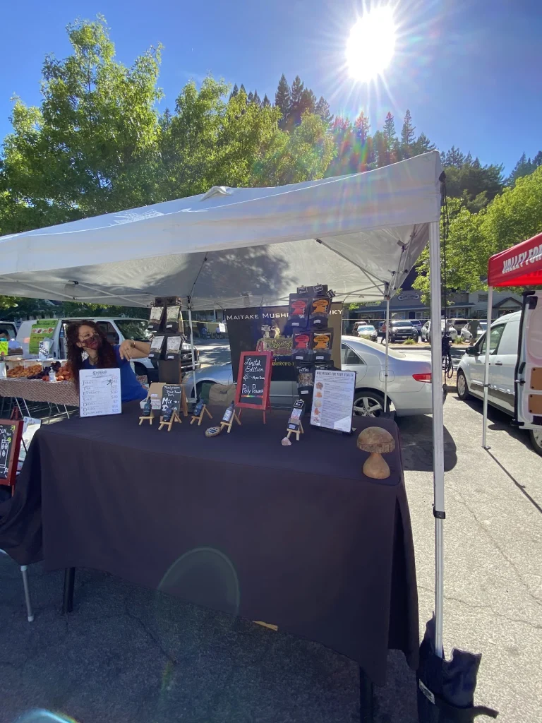Howard's Station Cafe, a dog-friendly restaurant in Occidental, California