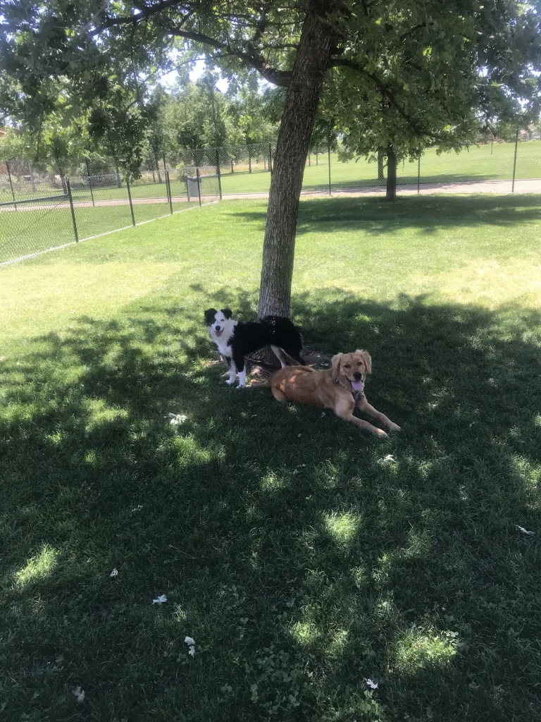 Hughes Dog Park