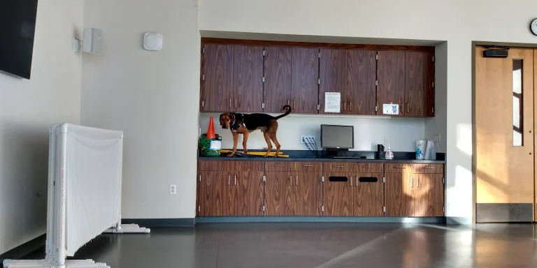 Humane Society
