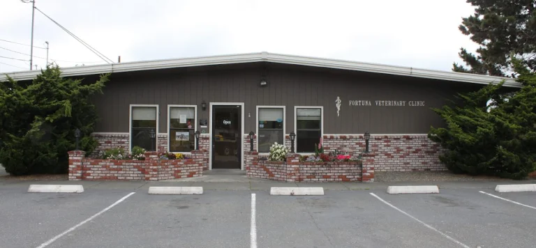 Humboldt Veterinary Medical, a dog-friendly local service in Ferndale, California