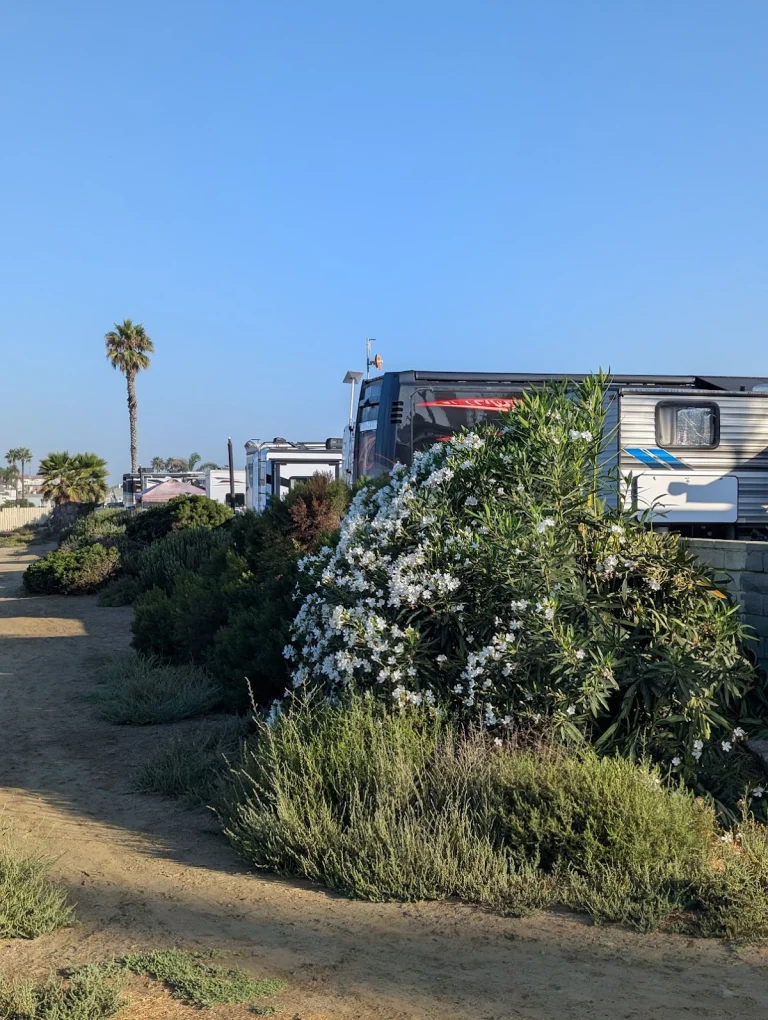 Huntington by RV park, a dog-friendly campground in Huntington Beach, California