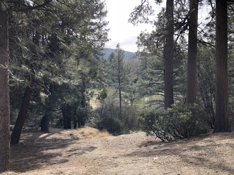 Idyllwild Park, Idyllwild