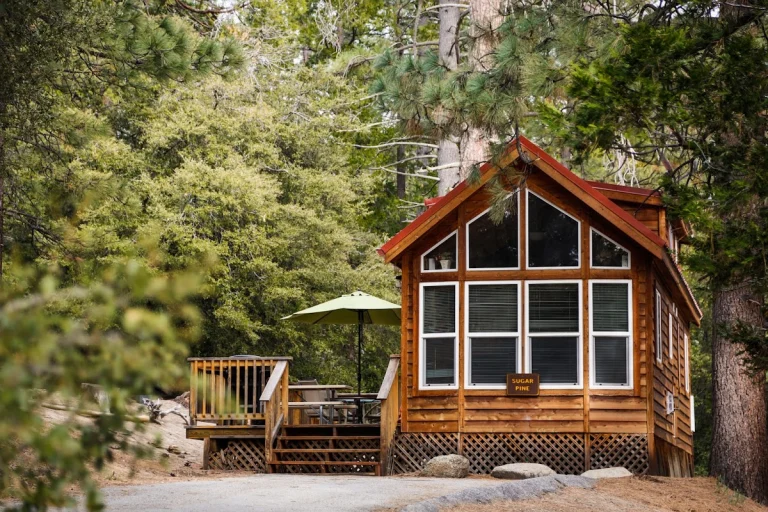 Idyllwild Preserve Thousand, a dog-friendly hiking trail in Idyllwild, California