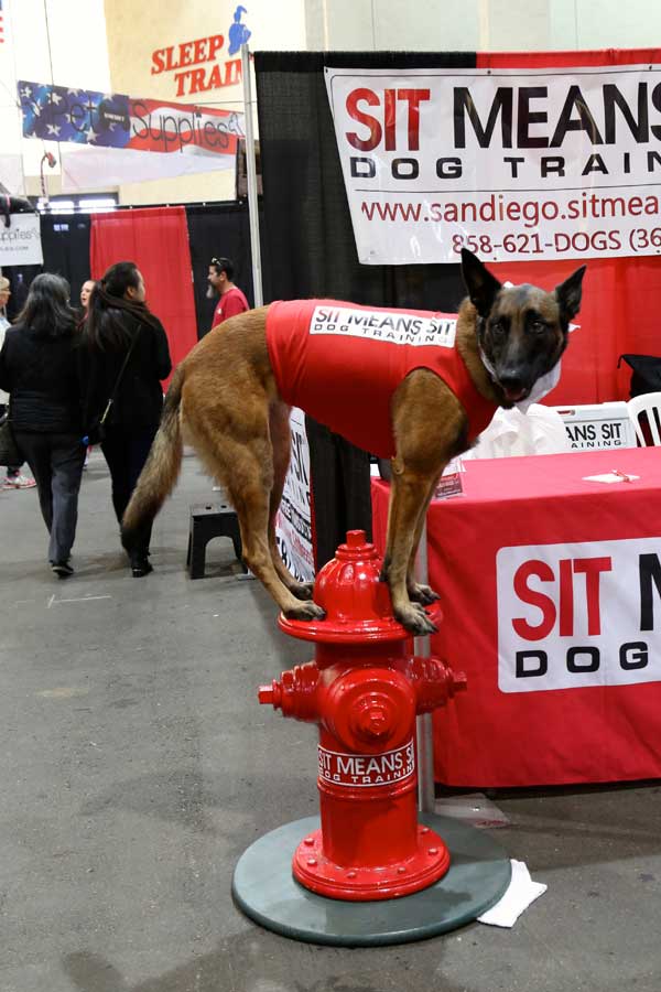 Dog on fire hydrant at Pet Expo