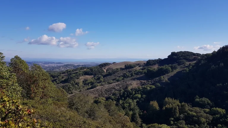 Indian Tree Open Space