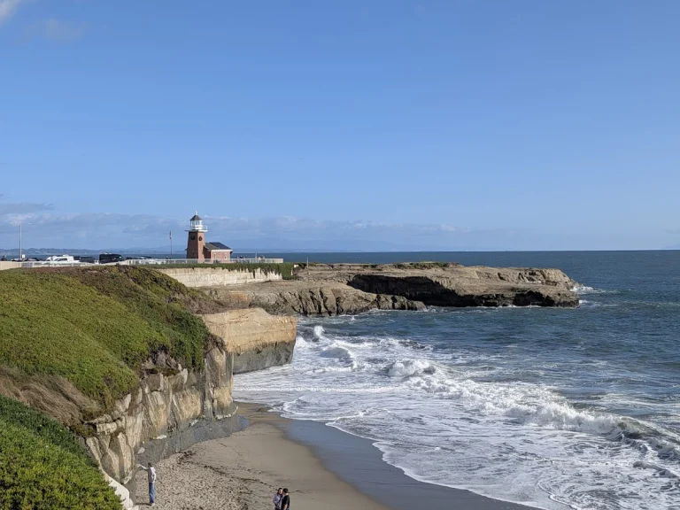 Its Beach, a dog-friendly beach in Santa Cruz, California