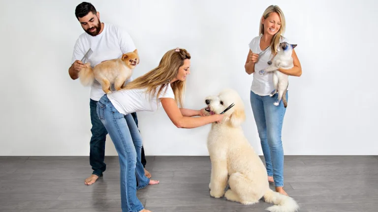 It’s Pawfect, a dog-friendly dog grooming salon in Westlake Village, California
