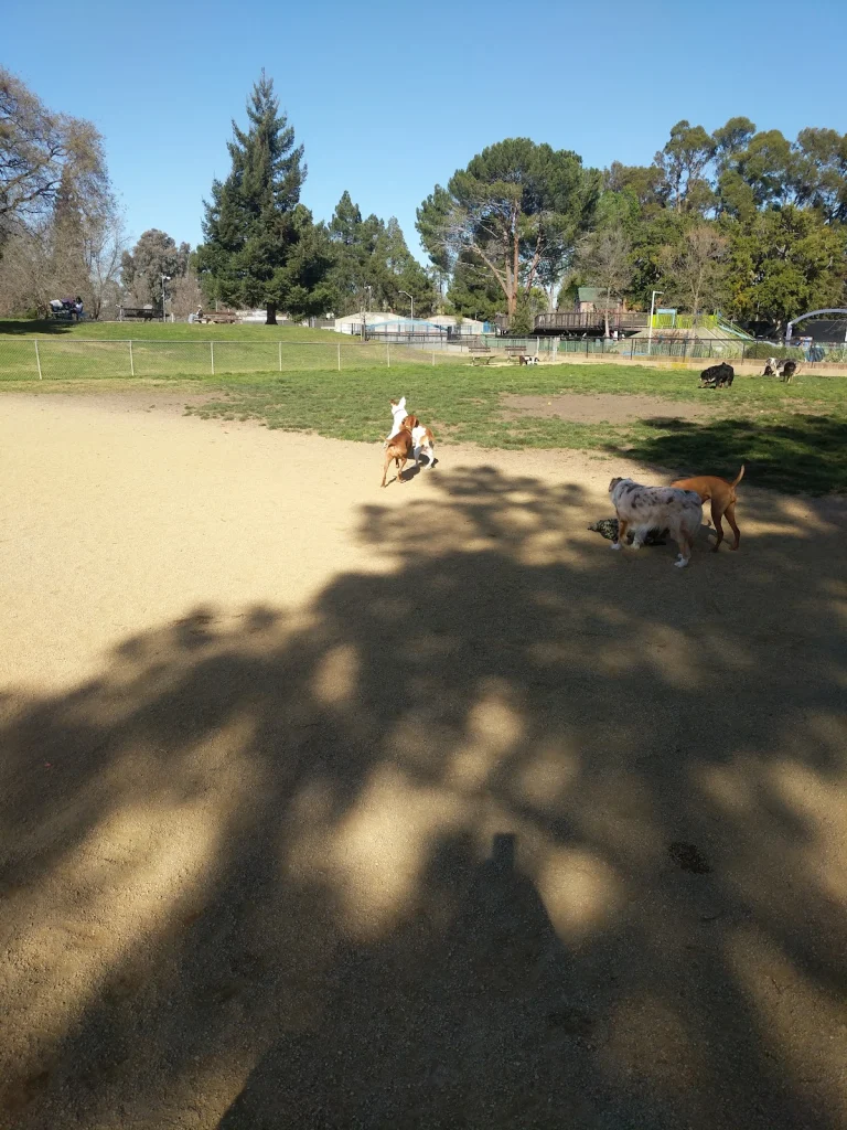 J. Pierce Mitchell dog park