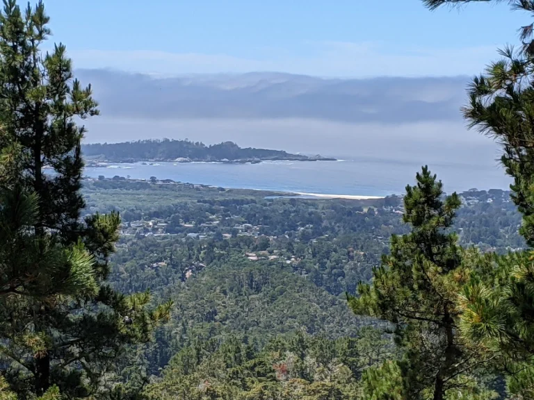 Jacks Peak County Park, a dog-friendly hiking trail in Monterey, California