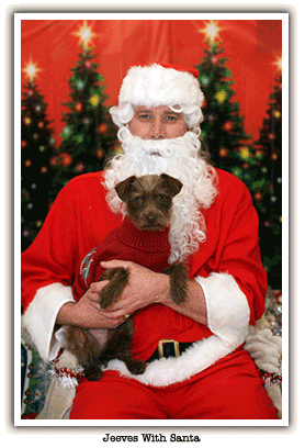 santa with a dog on lap