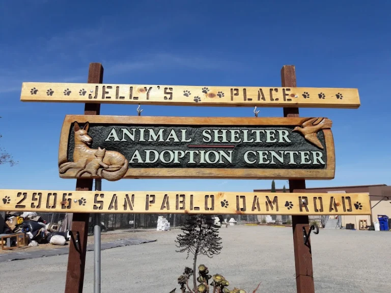 Jelly's Place Rescue, a dog-friendly animal rescue in San Pablo, California