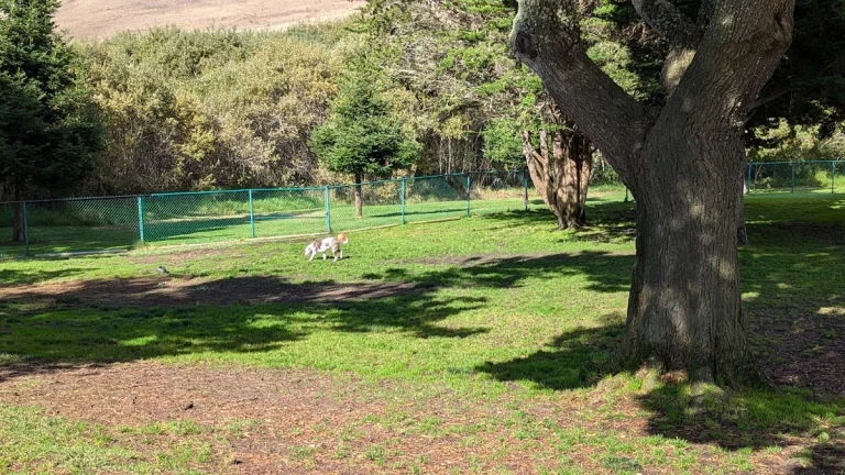 Jodi Giannini Family Dog Park