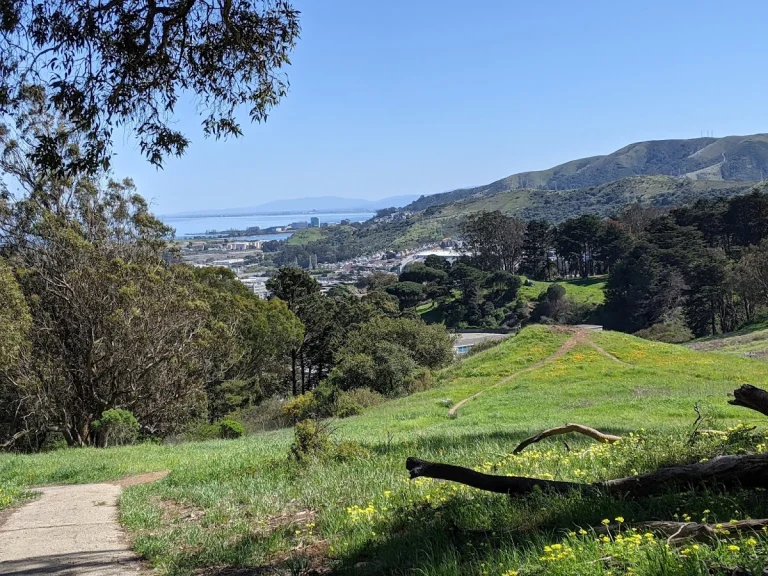 John McLaren Park, a dog-friendly park in San Francisco, California