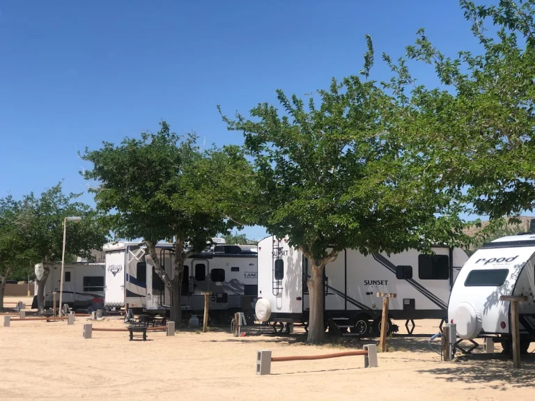Joshua Tree RV Park, a dog-friendly campground in Joshua Tree, California