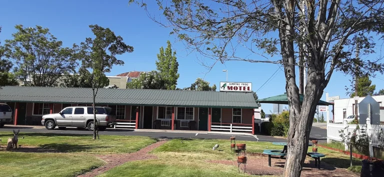 Jumping Frog Motel, a dog-friendly hotel in Angels Camp, California