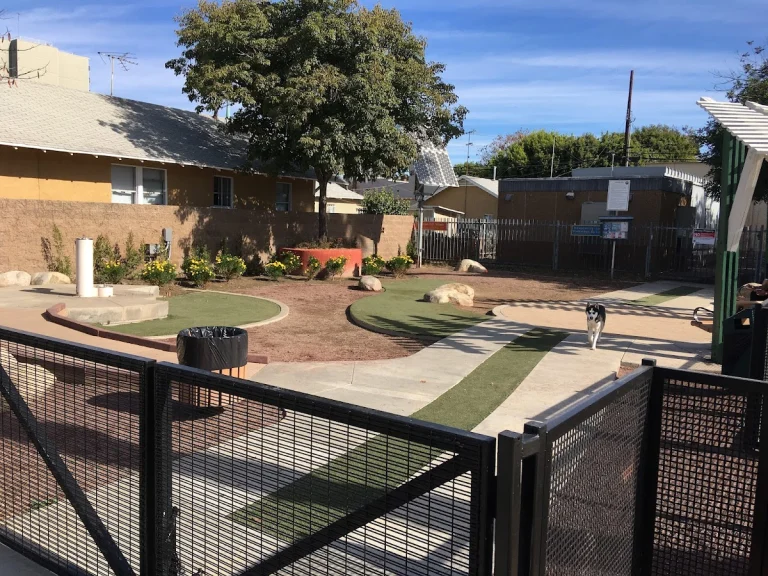 K-9 Corner Dog Park, a dog-friendly dog park in Long Beach, California