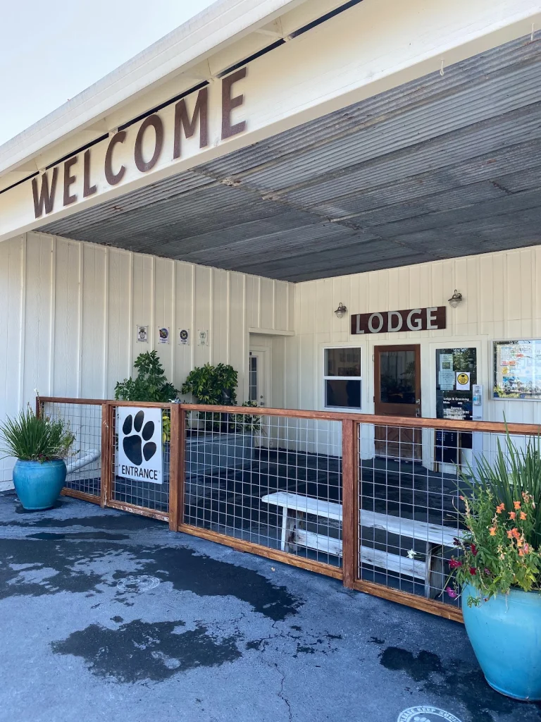K9 Activity Club
