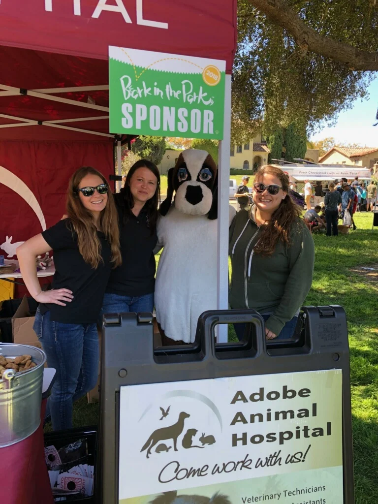 K9 Fit Club Adobe, a dog-friendly veterinary clinic in Los Gatos, California