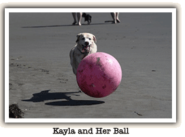 Kayla and Her Ball