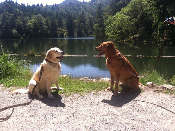 Kayla and Lola at Lake Laginitas, Marin County