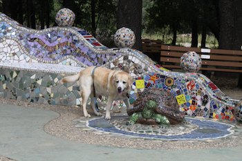 Kayla the Yellow Lab With Mosaic Turtle