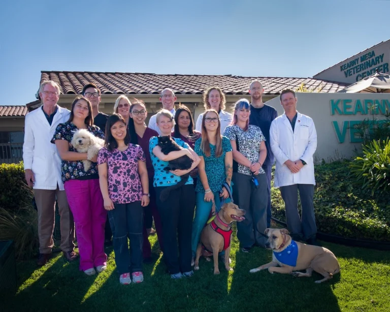 Kearny Mesa Veterinary Center, a dog-friendly local service in San Diego, California