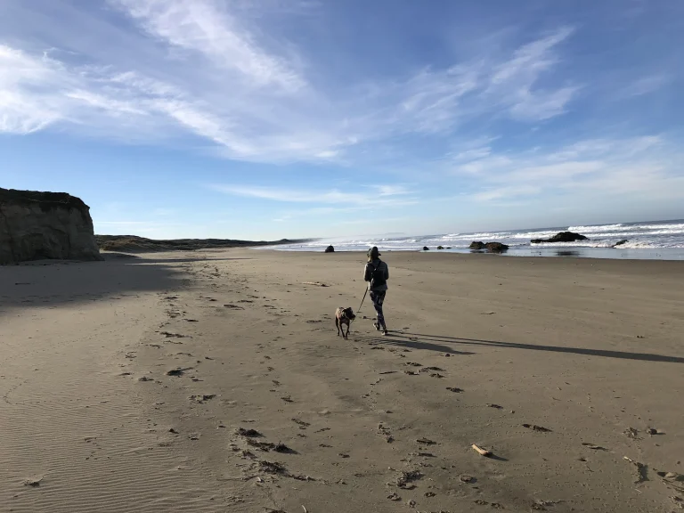 Kehoe Beach Google Places photo