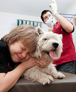 Kid hugging his dog at the vet