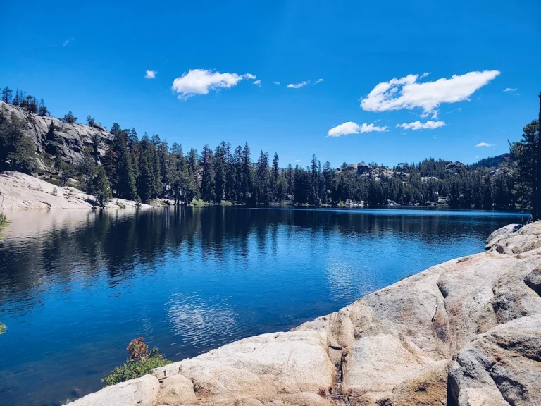 Kirkwood Campground, a dog-friendly campground in Kirkwood, California