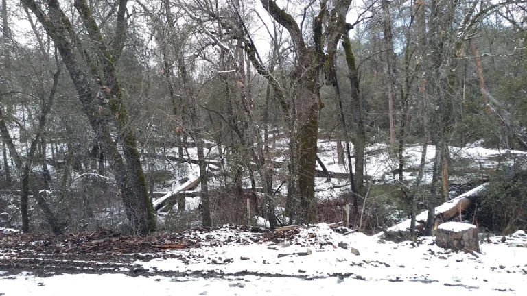Knarly Oaks Midpines Manor — dog-friendly vacation rentals in Mariposa